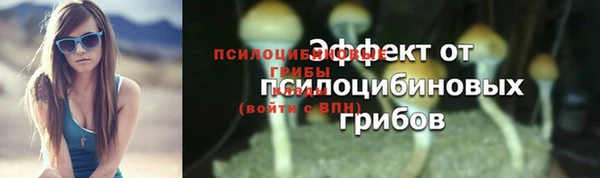 ГАЛЛЮЦИНОГЕННЫЕ ГРИБЫ Армянск