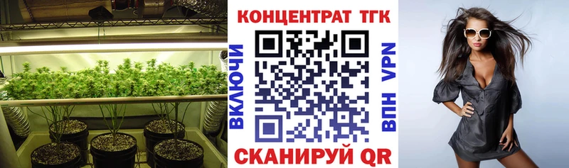 дарк нет как зайти  Чапаевск  ТГК Wax 