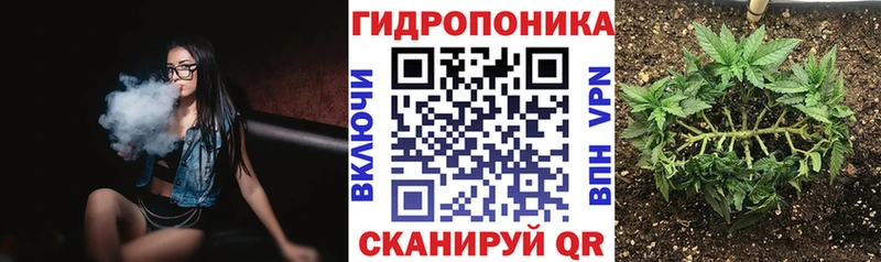 Конопля Bruce Banner мориарти телеграм Чапаевск MEGA ссылка